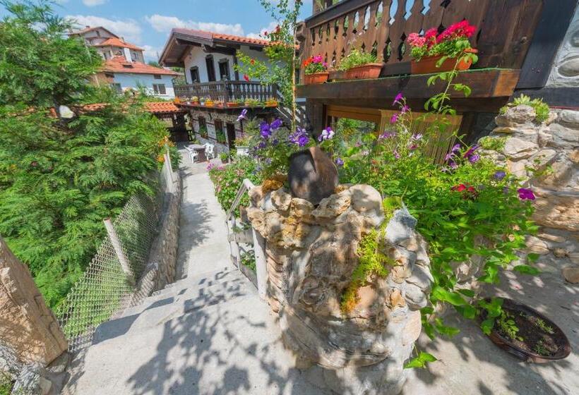 پانسیون Oasis Guest House