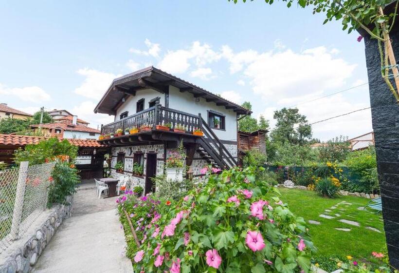 پانسیون Oasis Guest House