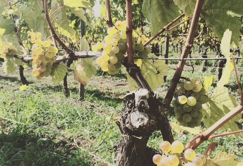 Пансион Weingut Gastehaus Weigand