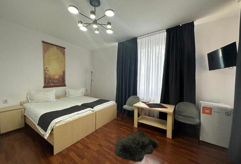 Pensiunea Brici