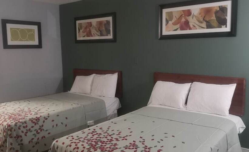 酒店 American Value Inn