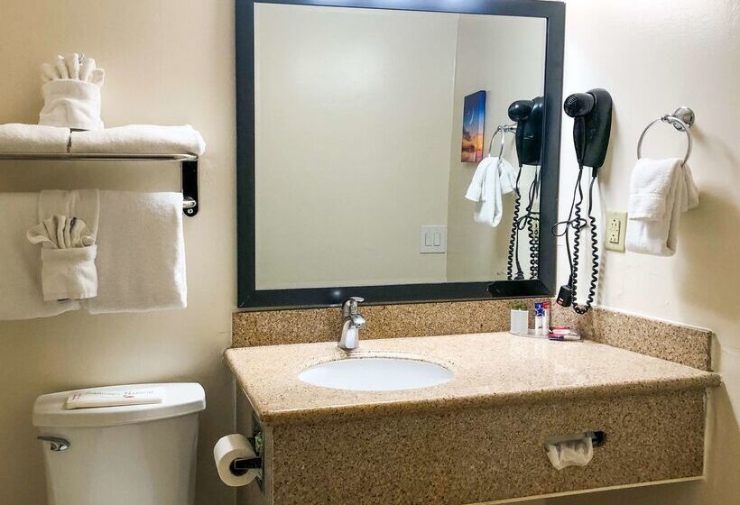 هتل Americas Best Value Presidents Inn On Munras