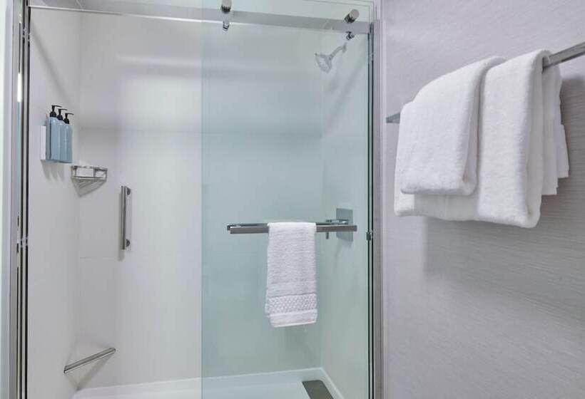 ホテル Courtyard By Marriott Detroit Livonia