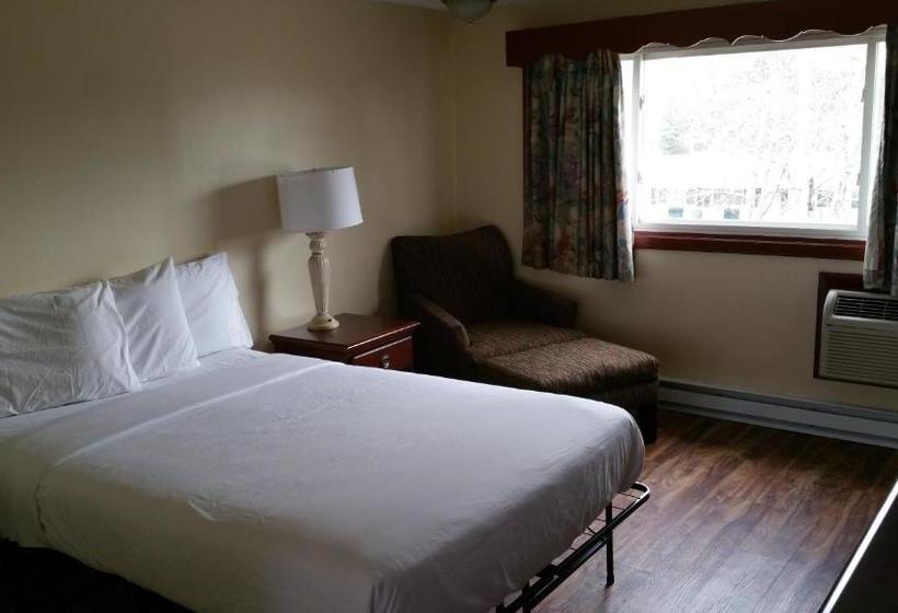 Отель Dartmouth Motor Inn