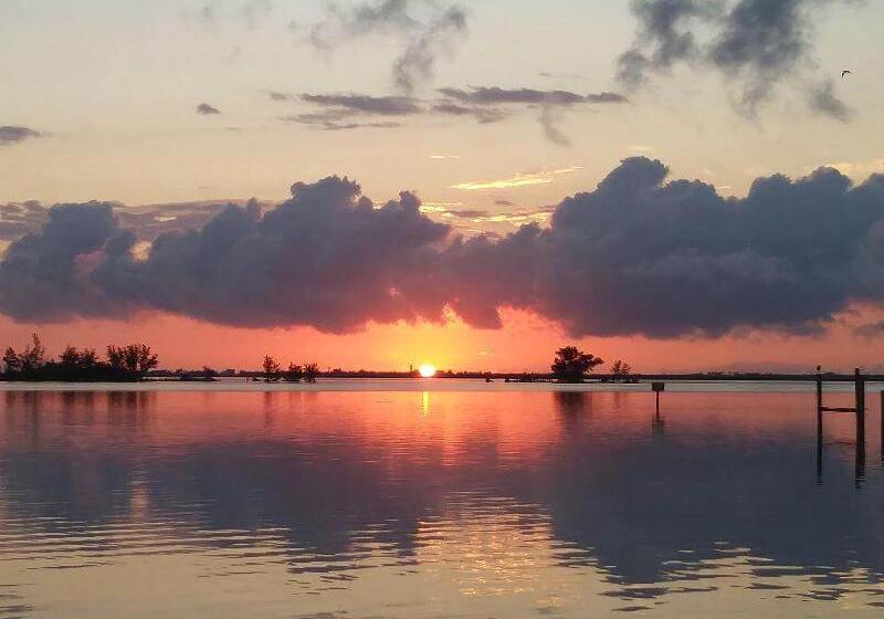 فندق Davis House Inn