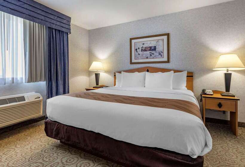 هتل Quality Inn & Suites Denver Airport  Gateway Park