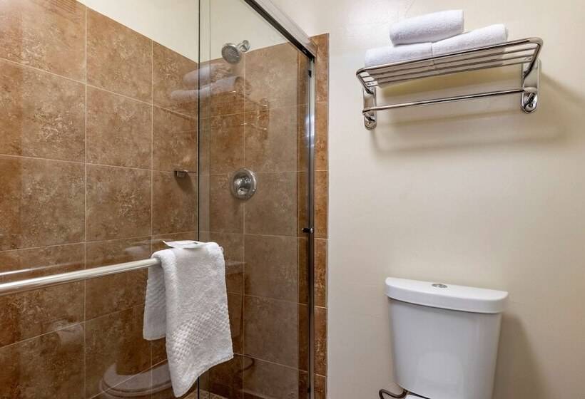 هتل Quality Inn & Suites Denver Airport   Gateway Park