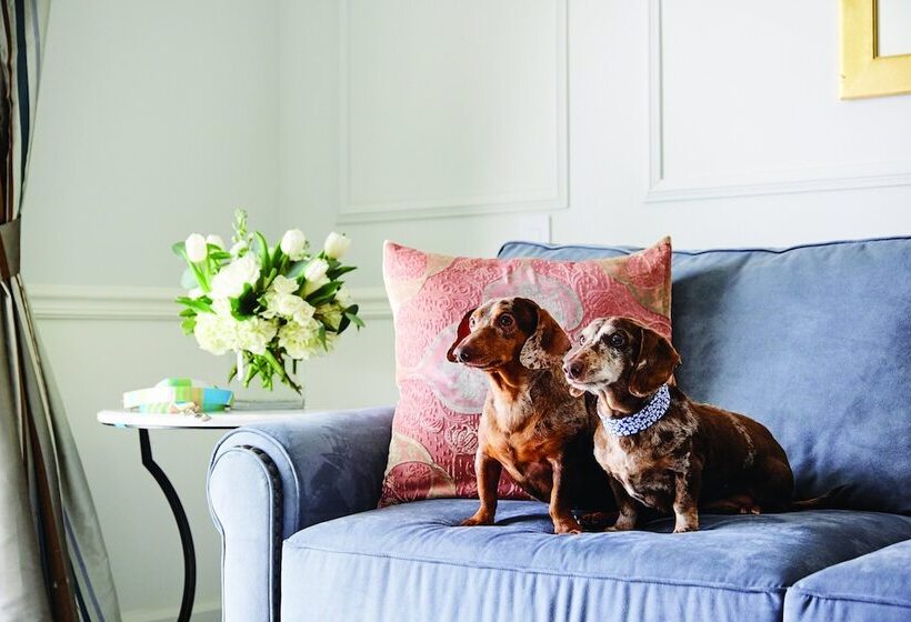 هتل The Charleston Place