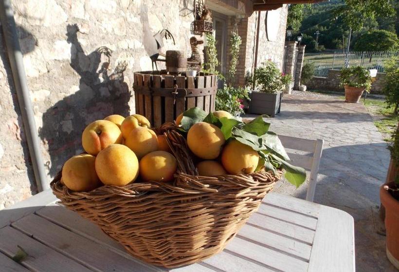 B&b Nonna Rosa