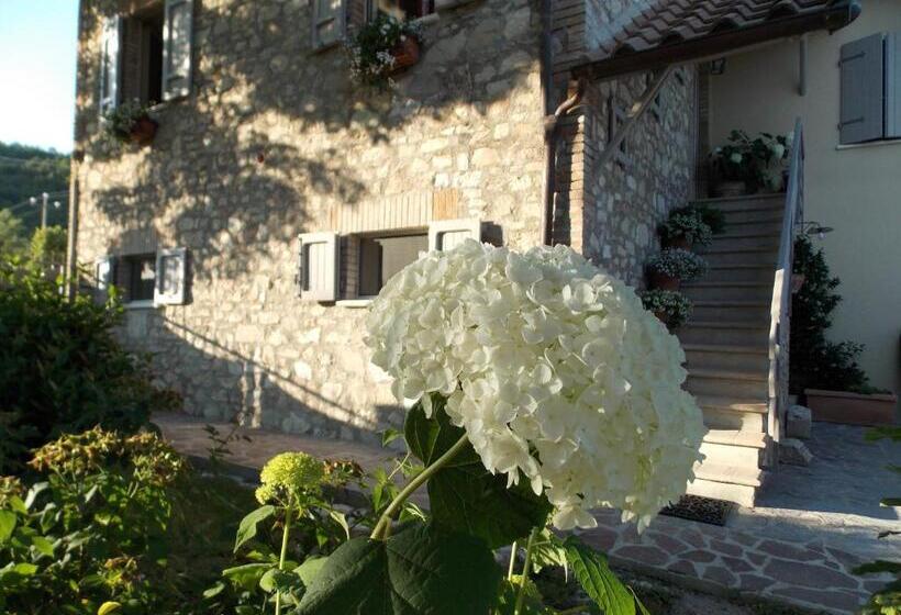 B&b Nonna Rosa