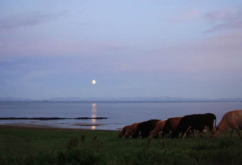 هتل Rauðsdalur