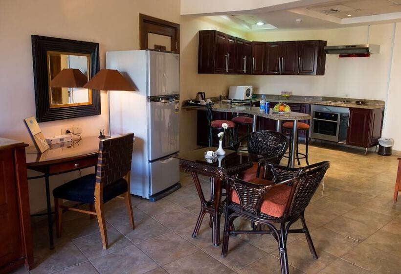 Fotos del hotel Swiss Inn Plaza:  21