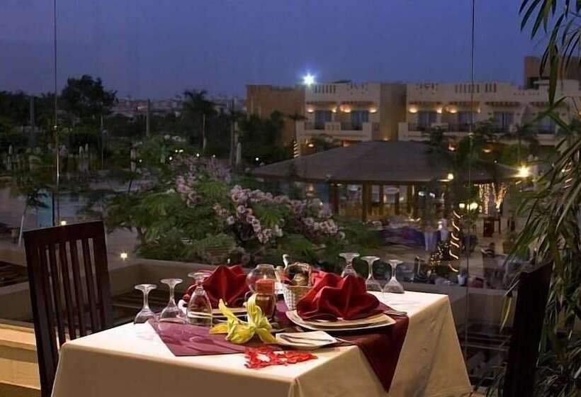 Fotos del hotel Swiss Inn Plaza:  26