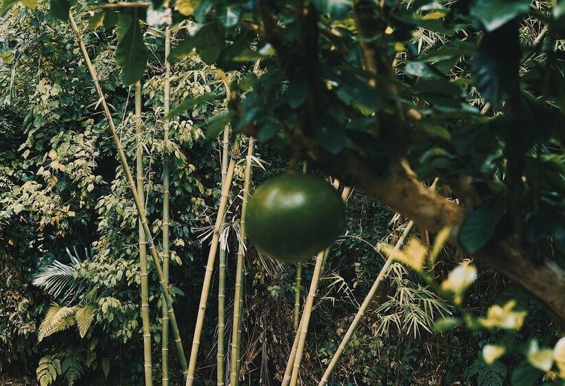 Fotos del hotel Omah Lembu Villa:  17