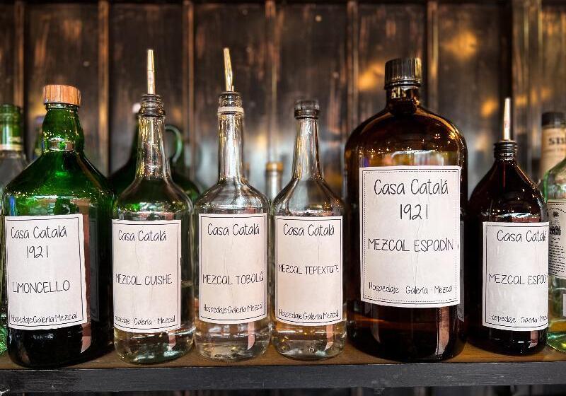 هتل Boutique Casa Catalá 1921