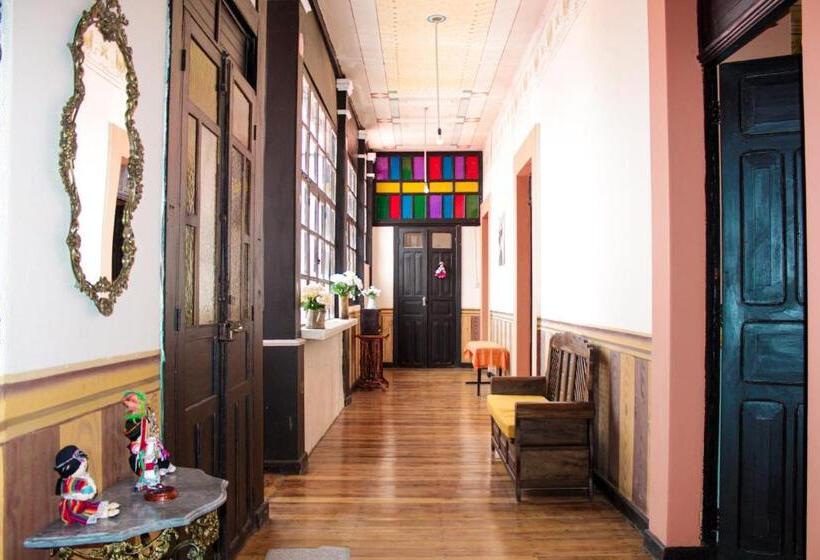 تختخواب و صبحانه Villa Bonita Hostel