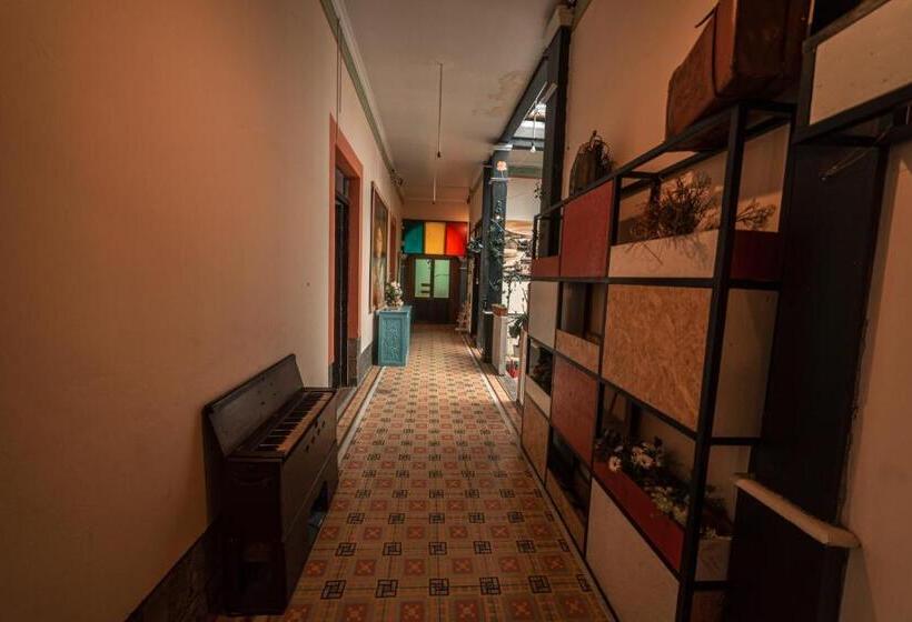 تختخواب و صبحانه Villa Bonita Hostel