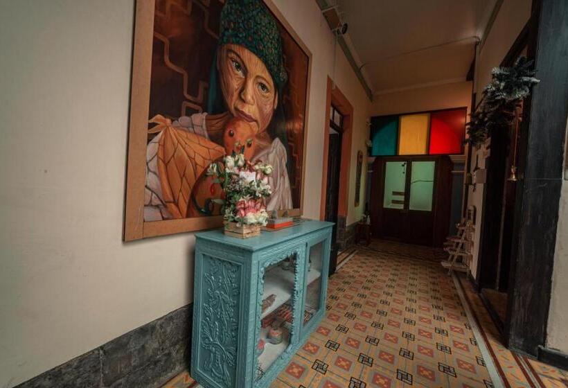 تختخواب و صبحانه Villa Bonita Hostel