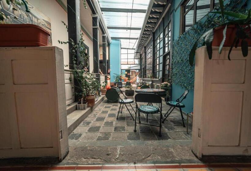 تختخواب و صبحانه Villa Bonita Hostel