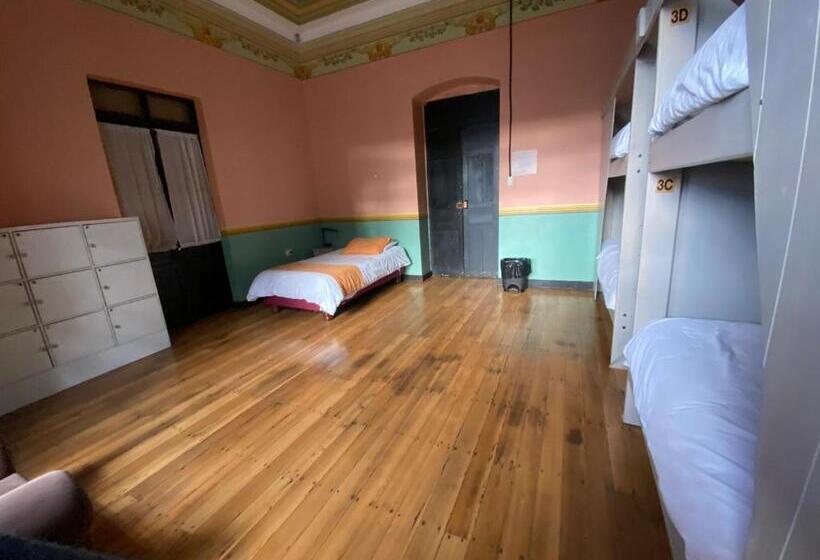 تختخواب و صبحانه Villa Bonita Hostel
