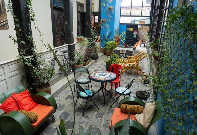 تختخواب و صبحانه Villa Bonita Hostel