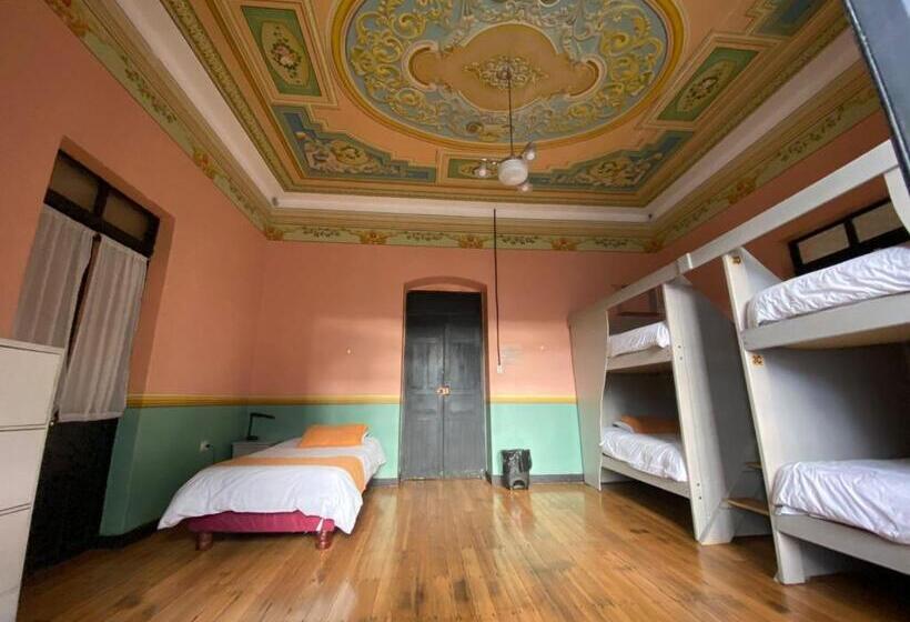 تختخواب و صبحانه Villa Bonita Hostel