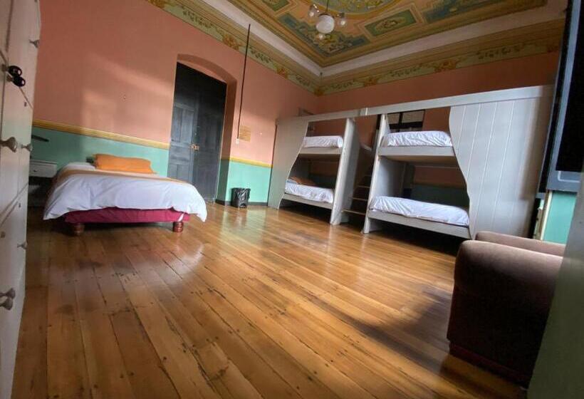 تختخواب و صبحانه Villa Bonita Hostel