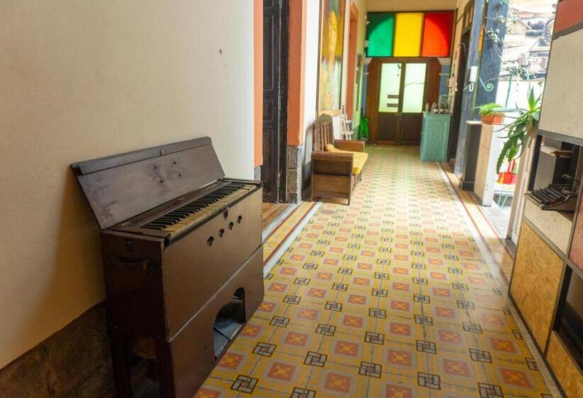 تختخواب و صبحانه Villa Bonita Hostel