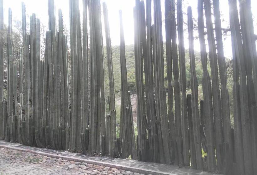 بنسيون Casa De Cactus