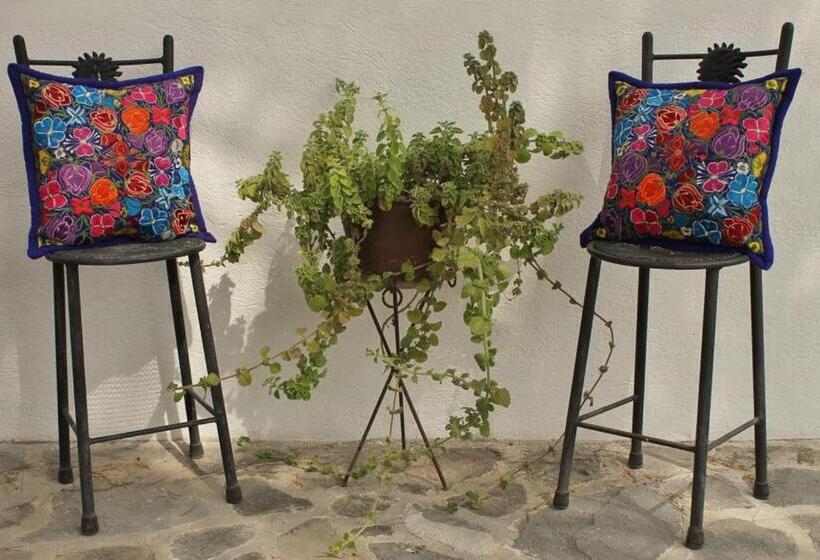 بنسيون Casa De Cactus