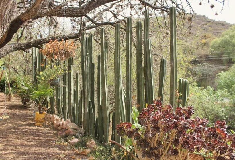 بنسيون Casa De Cactus