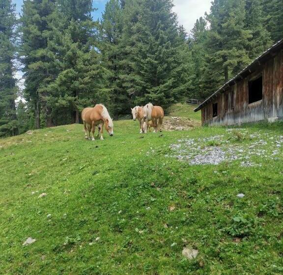 Pitztal Living