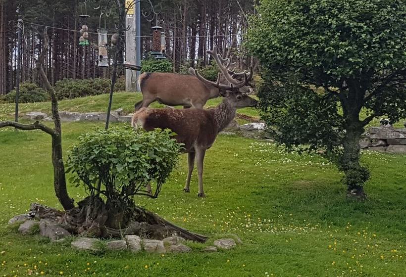 Altnaharra B&b