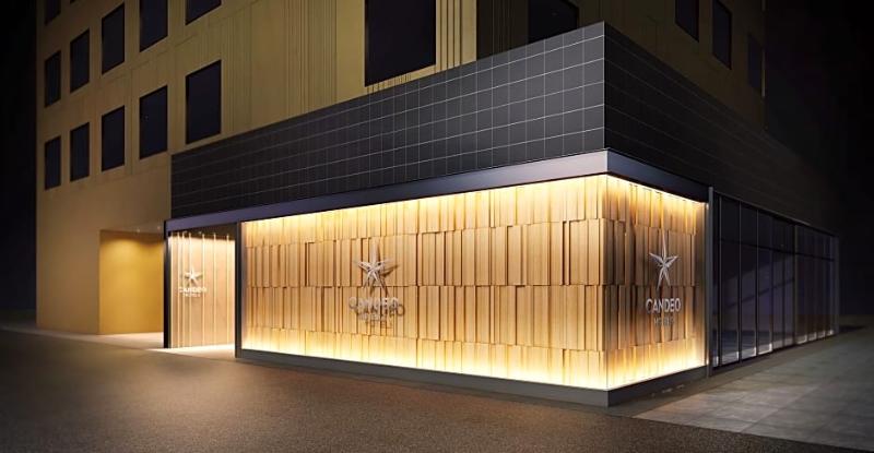 Fotos del hotel Candeo S Tokyo Shimbashi:  20