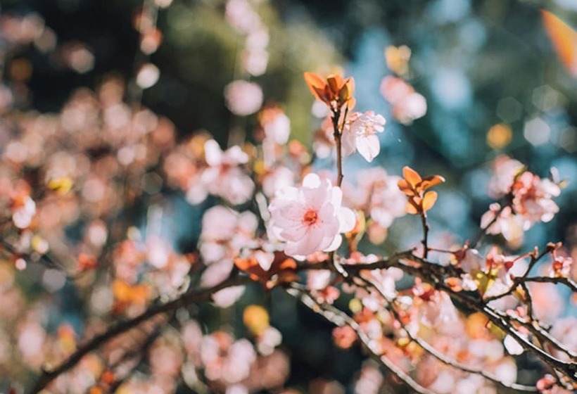 Fotos del hotel Sui Akasaka By Abest:  49