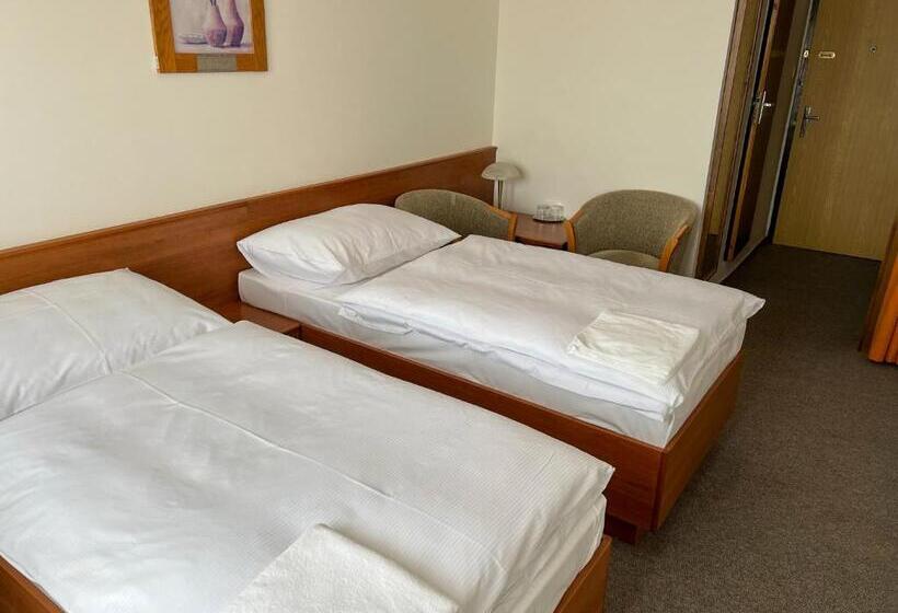 Retro Hotel Suza
