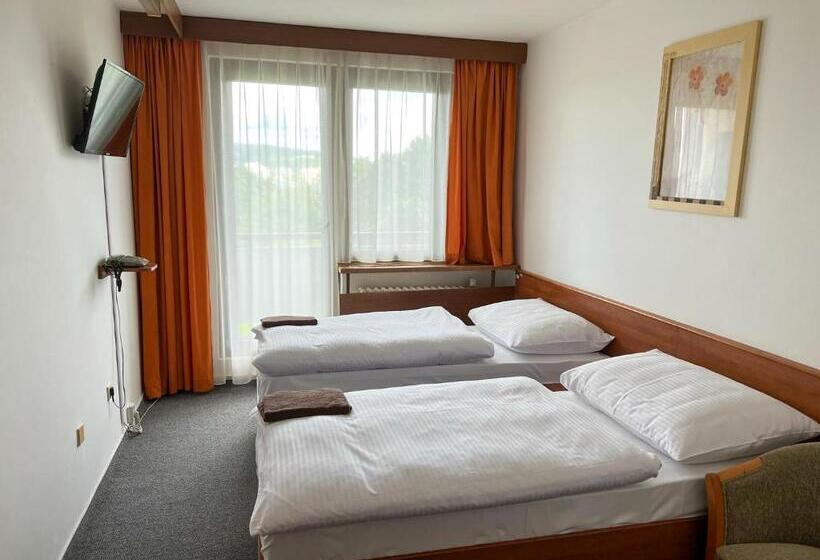 Retro Hotel Suza