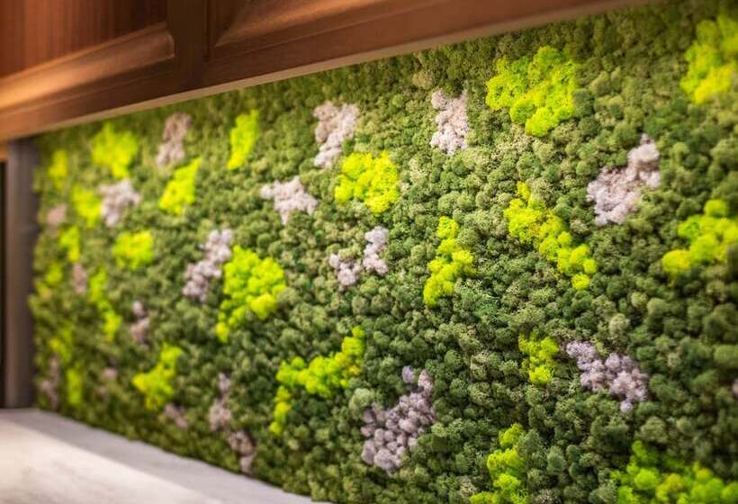 Fotos del hotel Super  Premier Ginza:  36