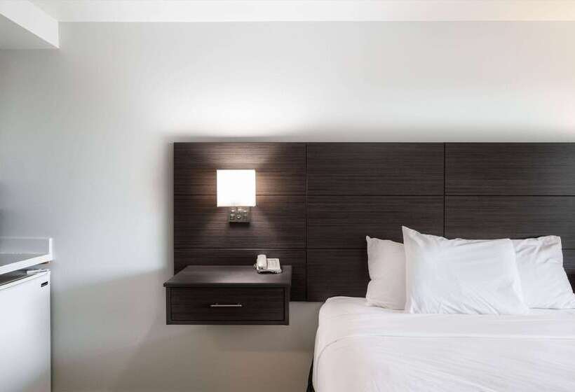 فندق Baymont Inn & Suites By Wyndham