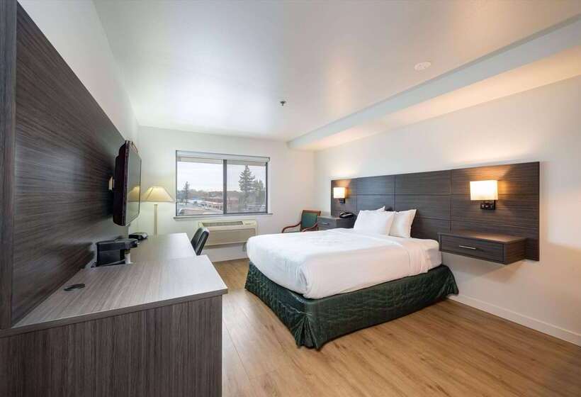 فندق Baymont Inn & Suites By Wyndham
