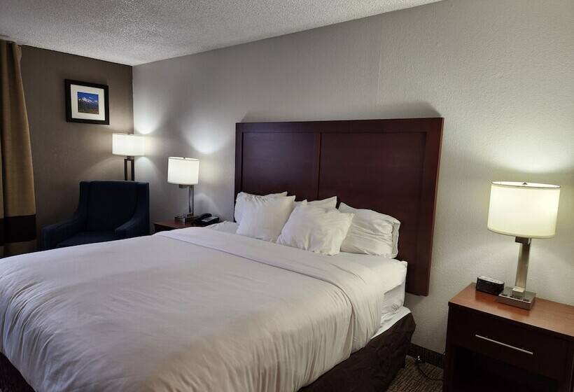 酒店 Comfort Inn Yreka I 5