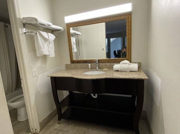 汽车旅馆  Red Carpet Inn & Suites   Danville