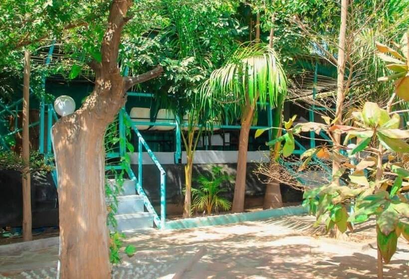 پانسیون Luna Lodge