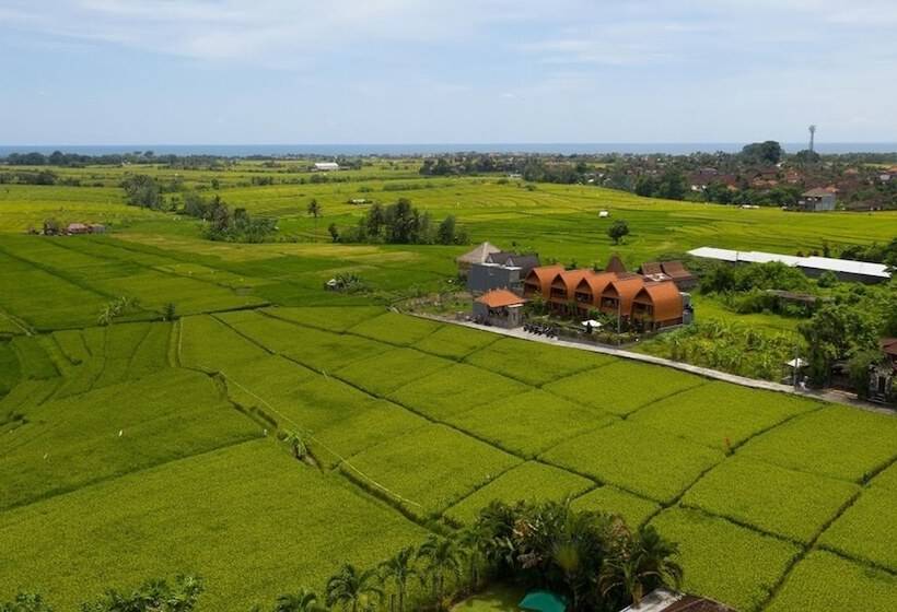 هتل D Jineng Rice Terrace Canggu