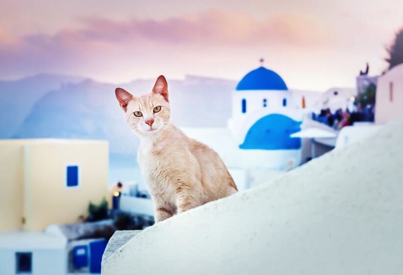 هتل Diamond Luxury Suites Collection