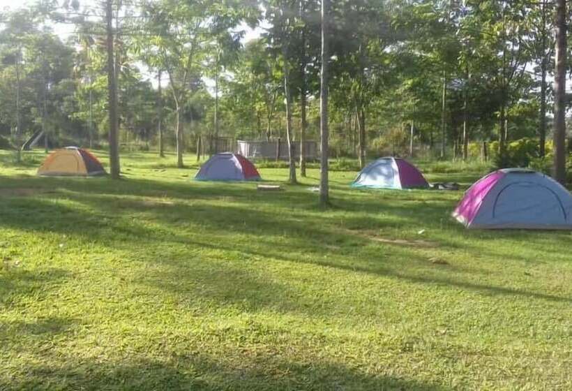 هتل Forever Eco Resort