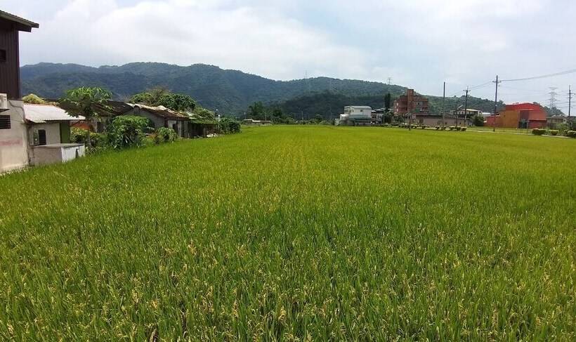 پانسیون Nature Home