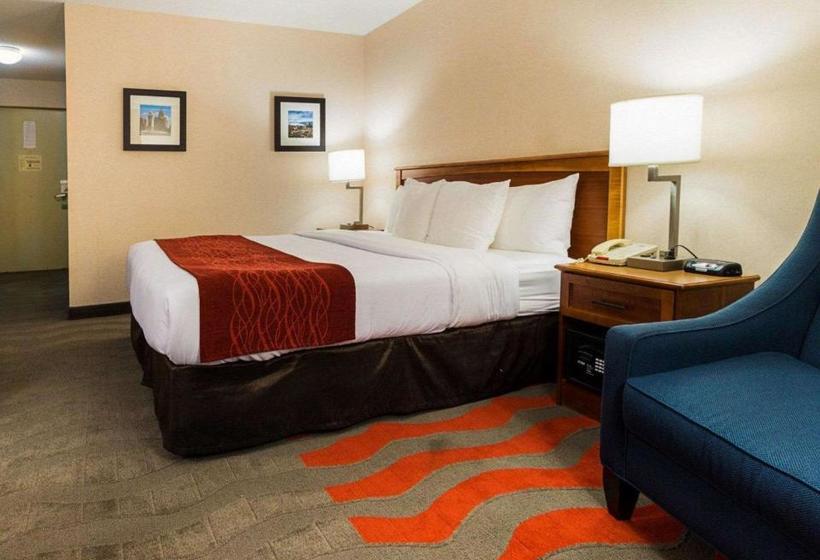 Отель Comfort Inn & Suites Airport