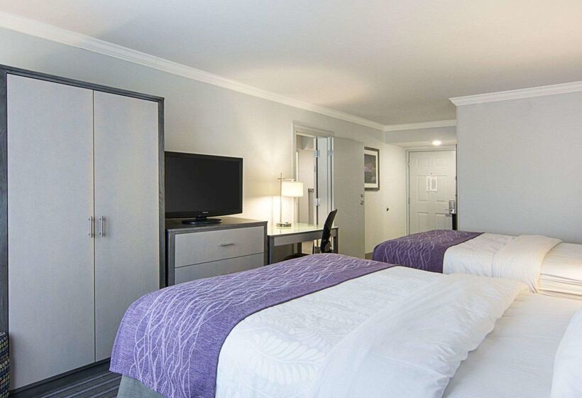 هتل Comfort Inn Williamsburg Gateway