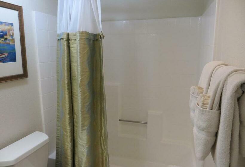 בית מלון כפרי Desert Breezes Resort